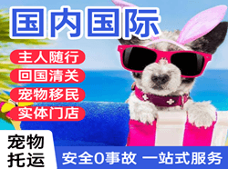 长乐航空快运国际宠物托运 【国